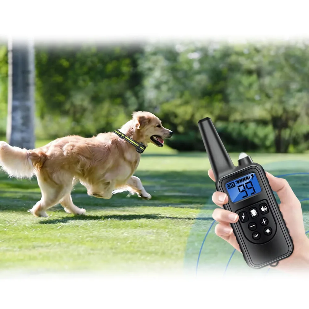 Detail elektronického obojku TC-023 s kontaktnými bodmi