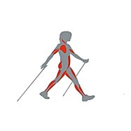 Náhradná gumová koncovka na trekingové palice (pätka)