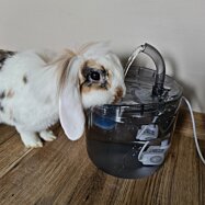 Fontánka - napájačka pre psa/mačku 2000ml