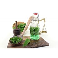 Prírodný výluh z medvedieho cesnaku, prírodný koncentrát - 250 ml