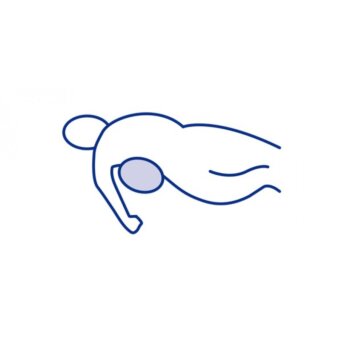 Podpora hrudníkovej a panvovej časti tela, All Up Kidney