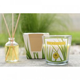 ARÔME Difuzér 50 ml s tyčinkami, Citronella - Náhľad