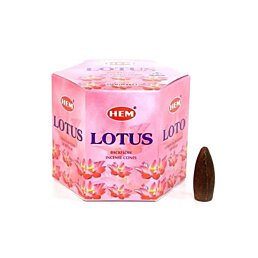 Hem Backflow vonné kužele, 40ks