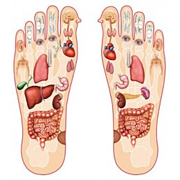 Detoxikačné náplaste KINOKI