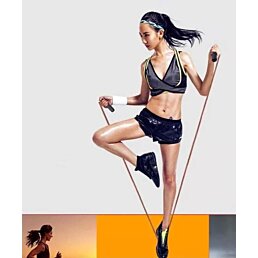 Kožené boxerské švihadlo s ložiskami 275 cm - Náhľad