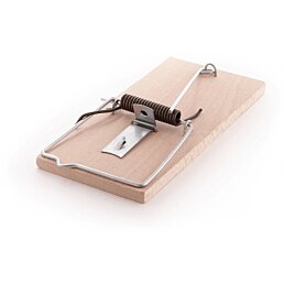 Pasca na potkany z bukového dreva Rat, 164 x 75 mm