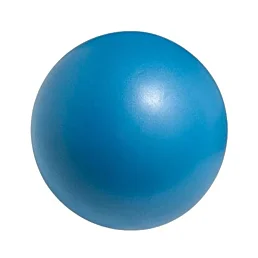 Rehabilitačná a cvičebná lopta Pilo-10 - Náhľad