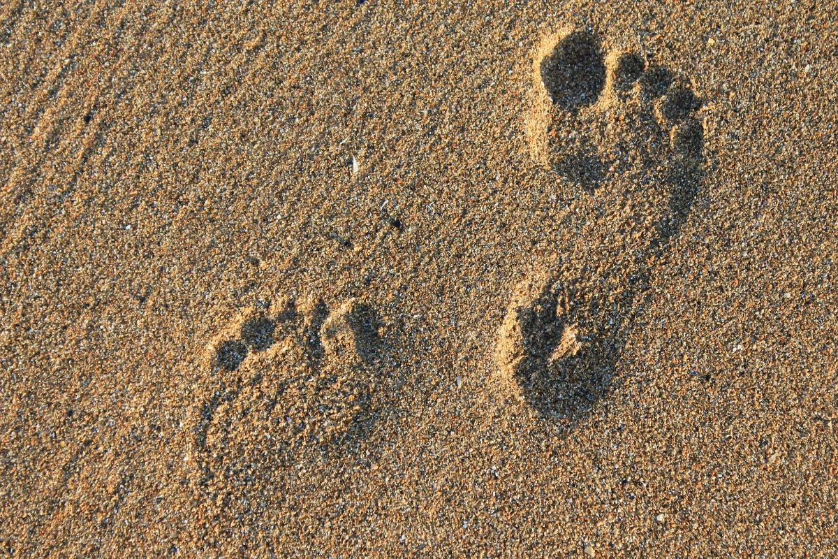 Stopa chodidiel v piesku.